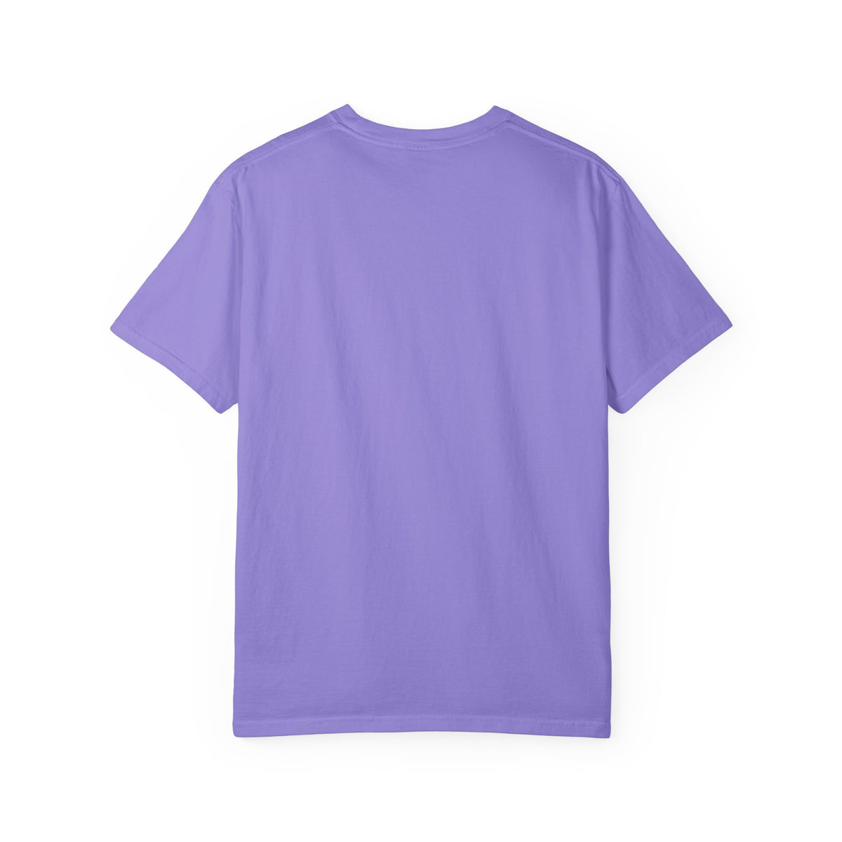 Polo Player Graphic T-Shirt — U.S. Polo Assn. Classic Logo Tee