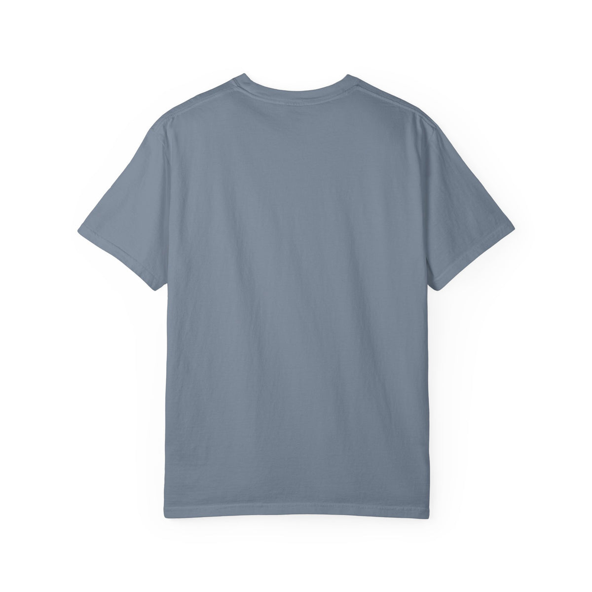 Polo Player Graphic T-Shirt — U.S. Polo Assn. Classic Logo Tee
