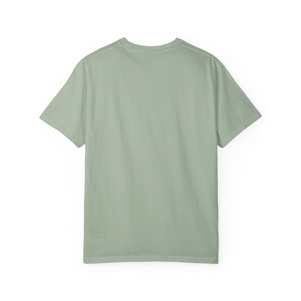 Polo Player Graphic T-Shirt — U.S. Polo Assn. Classic Logo Tee