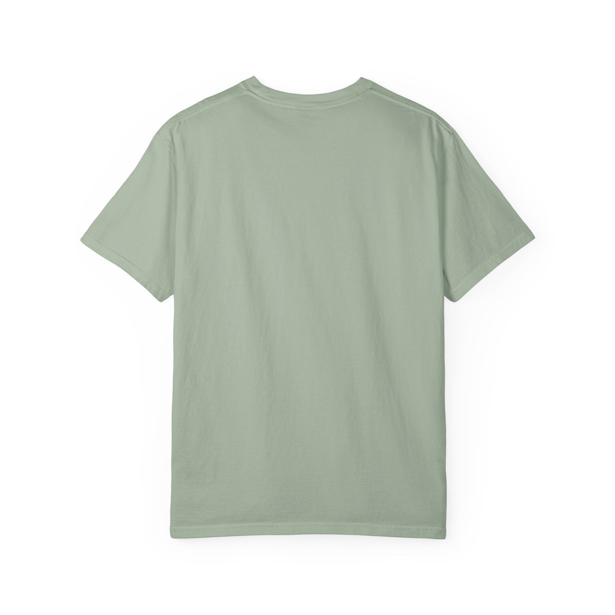 Polo Player Graphic T-Shirt — U.S. Polo Assn. Classic Logo Tee