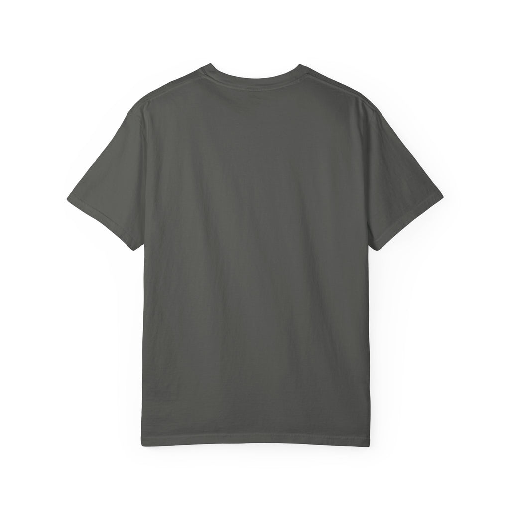Polo Player Graphic T-Shirt — U.S. Polo Assn. Classic Logo Tee