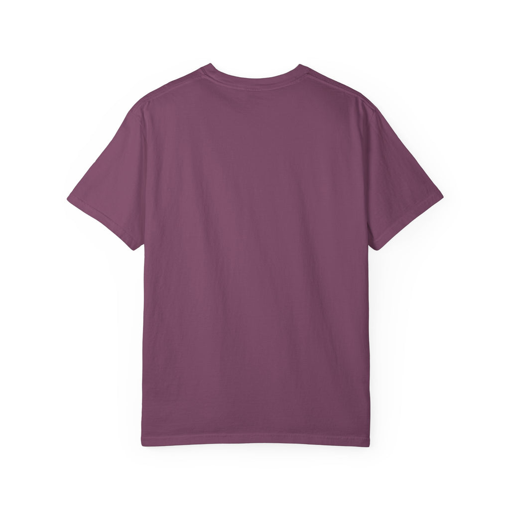 Polo Player Graphic T-Shirt — U.S. Polo Assn. Classic Logo Tee
