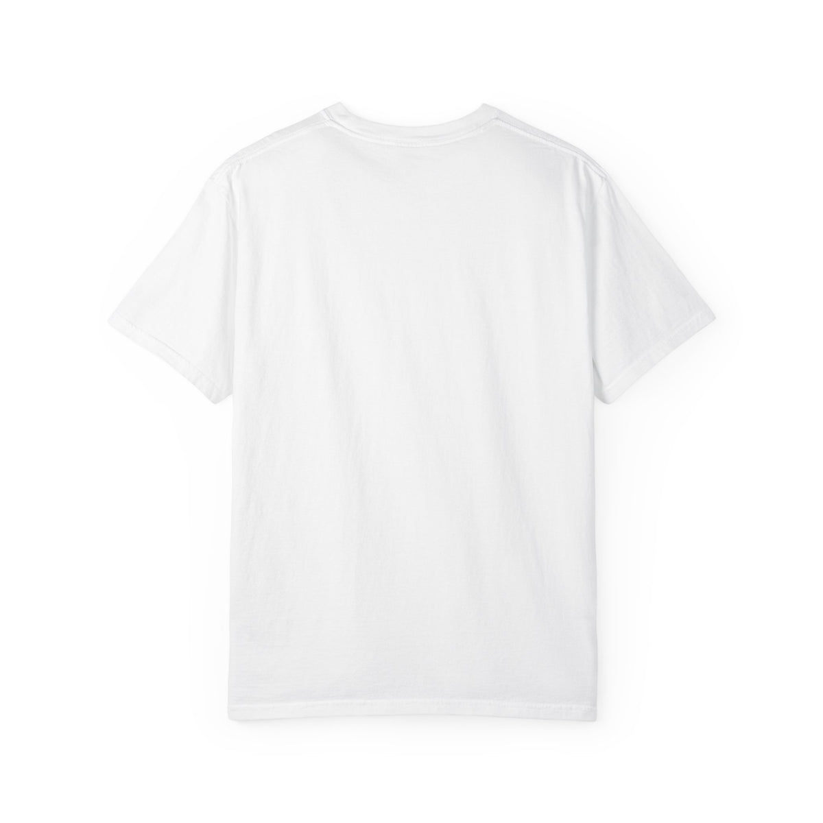 Polo Player Graphic T-Shirt — U.S. Polo Assn. Classic Logo Tee