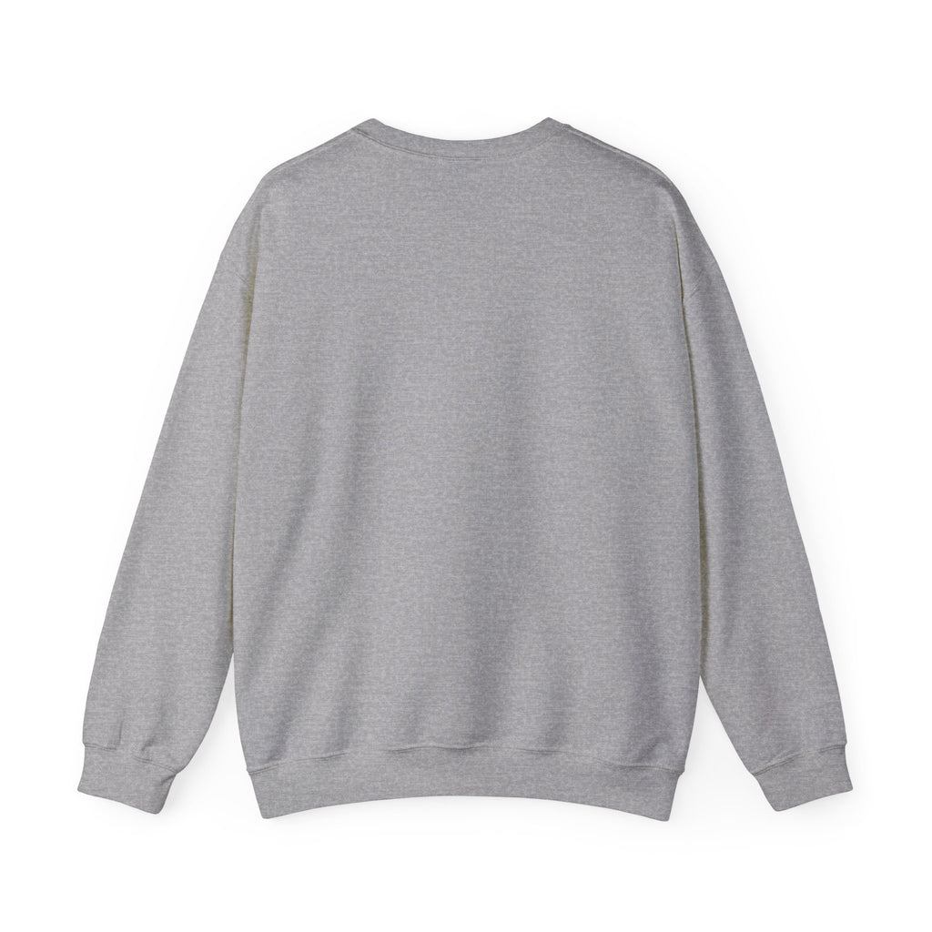 Polo Player Crewneck Sweatshirt — U.S. Polo Assn. Graphic Pullover