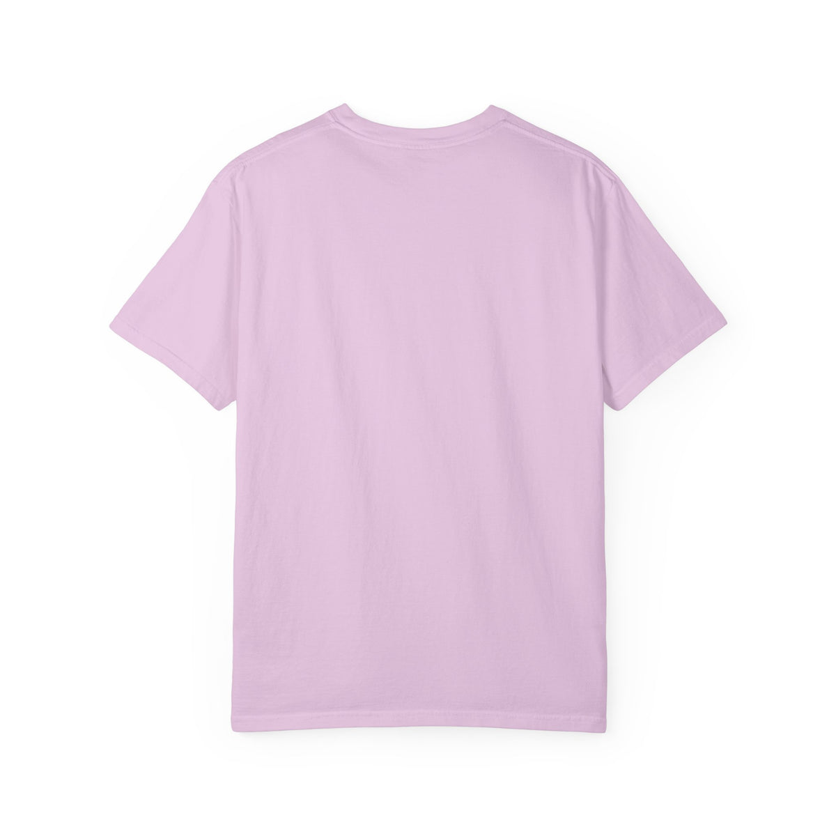Polo Player Graphic T-Shirt — U.S. Polo Assn. Classic Logo Tee