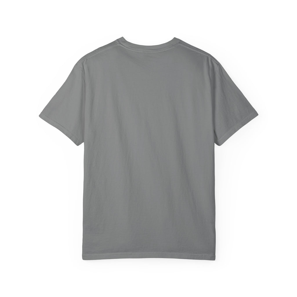 Polo Player Graphic T-Shirt — U.S. Polo Assn. Classic Logo Tee
