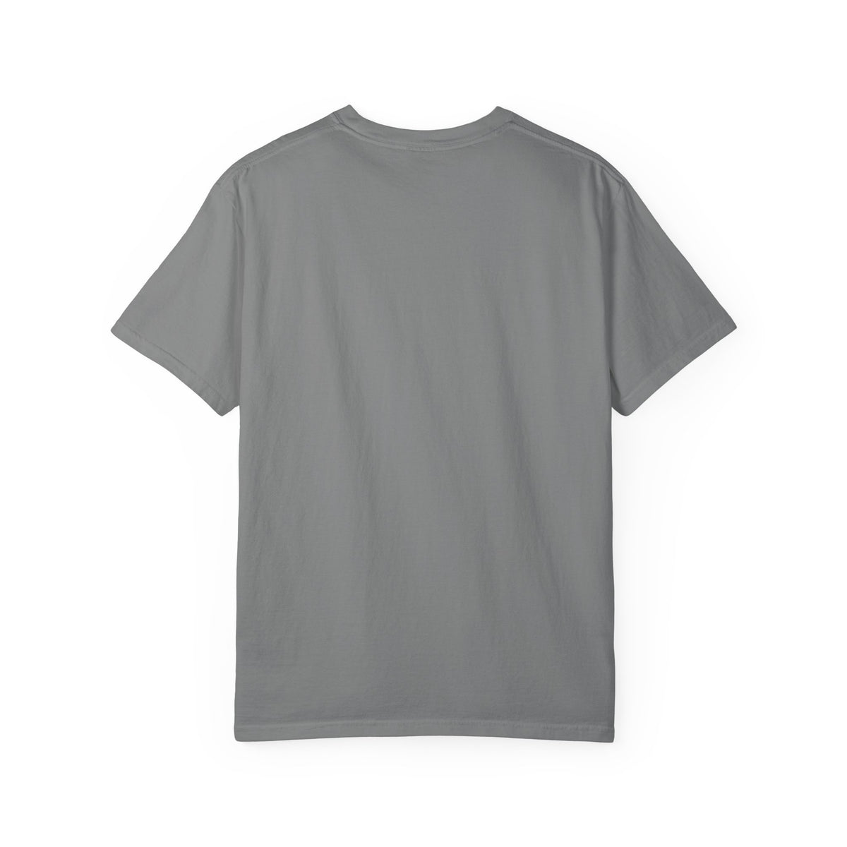 Polo Player Graphic T-Shirt — U.S. Polo Assn. Classic Logo Tee