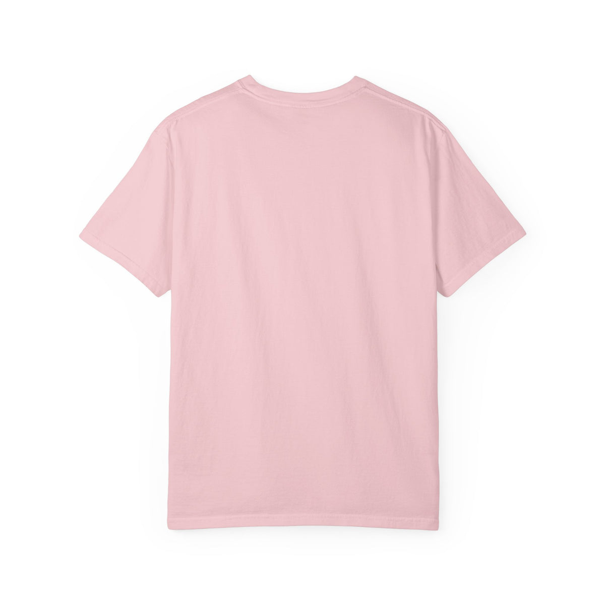 Polo Player Graphic T-Shirt — U.S. Polo Assn. Classic Logo Tee